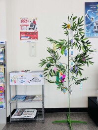 短冊に願いを！